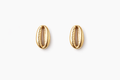 Gold Cowrie Shell Stud Earrings