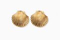 Gold Scallop Shell Stud Earrings