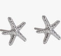 Starfish Stud Earrings - Silver