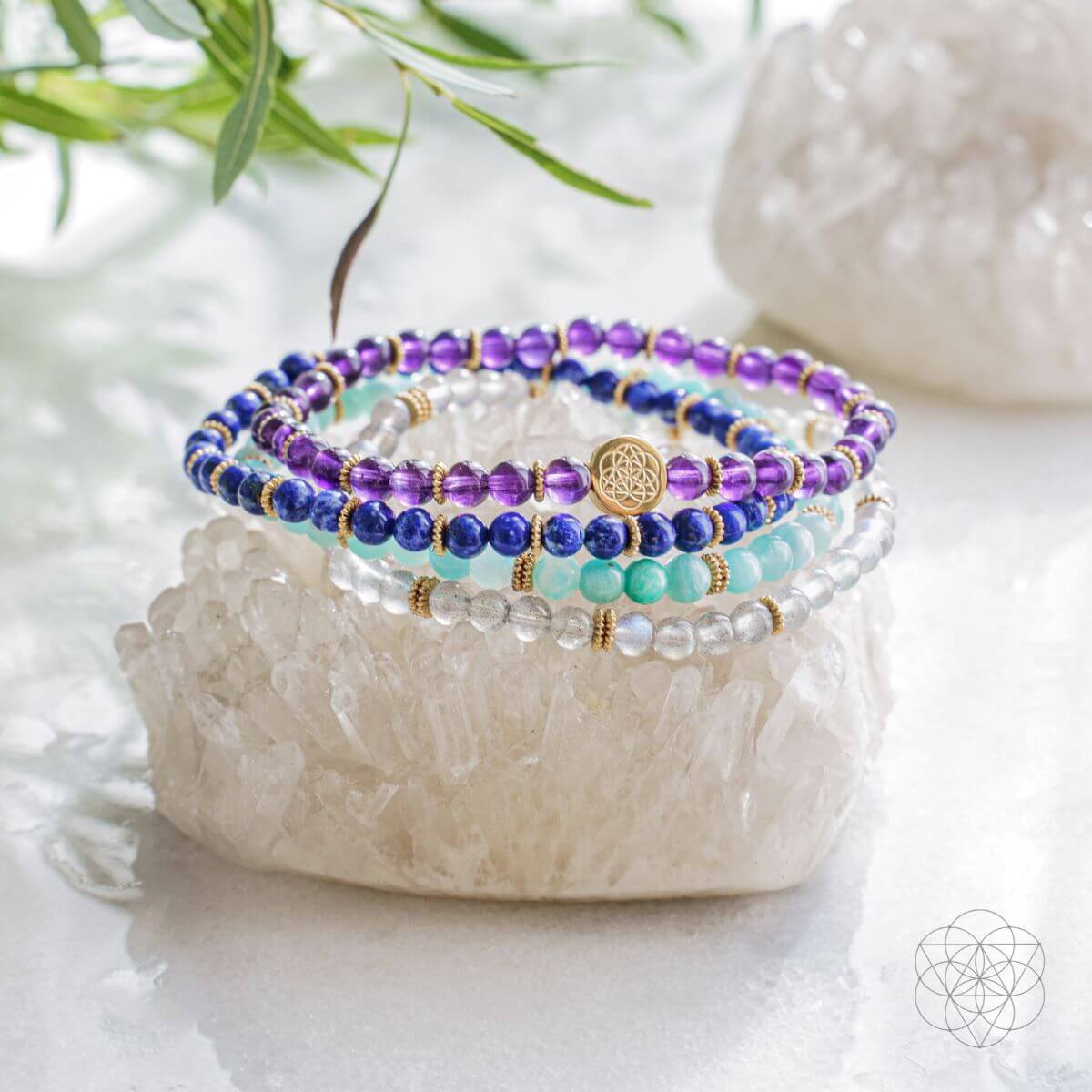 Manifestation Magnet Pack of 4
