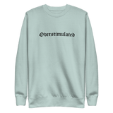 Overstimulated Embroidered Sweatshirt